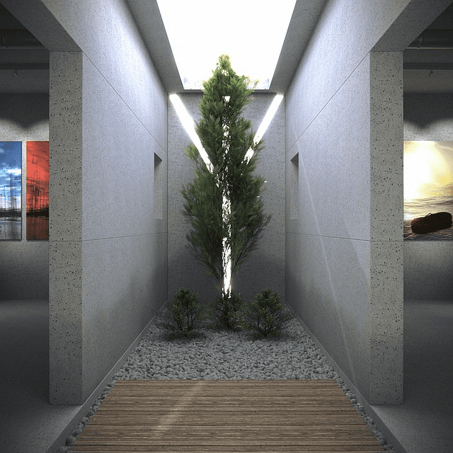 Plants under a skylight